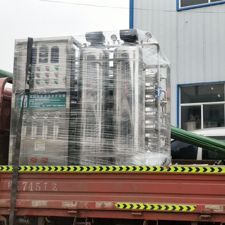 口罩厂纯化水设备