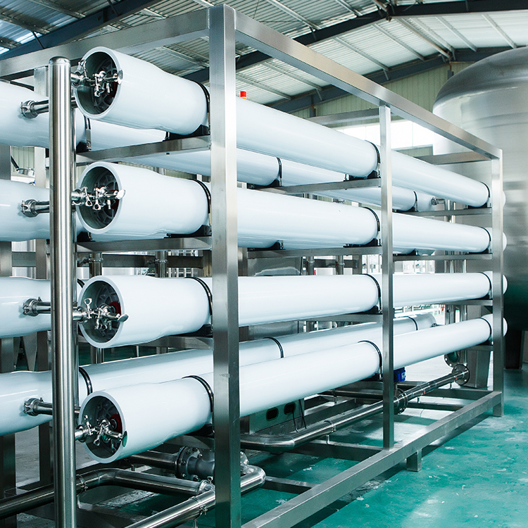 食品厂反渗透纯水设备